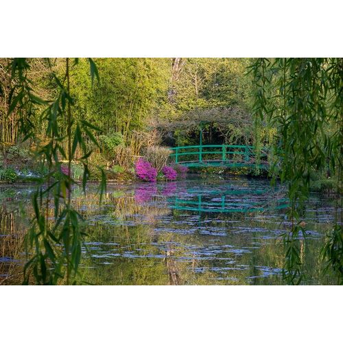 France-Giverny-Monets Garden Sunrise view of iconic bridge and lily pond
